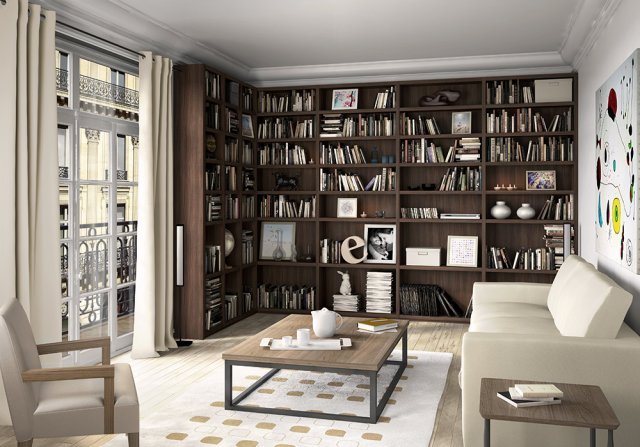 Organiser les rangements - Bibliothèque dans un appartement parisien